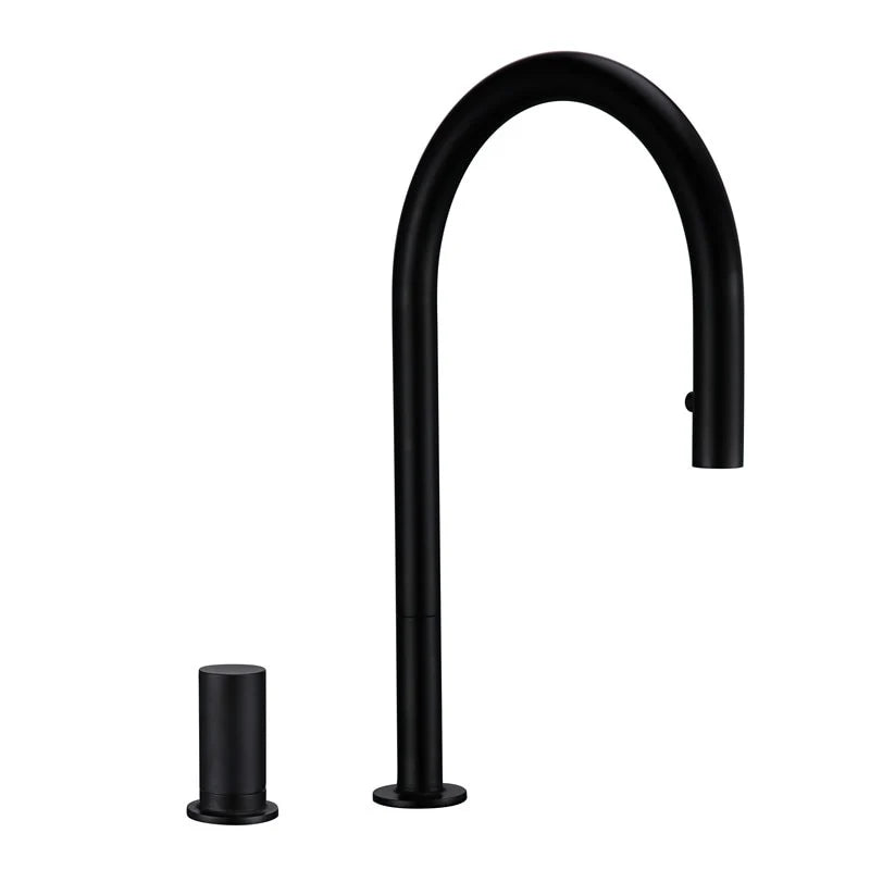 Denver Single Handle Kitchen Tap with Sprayer