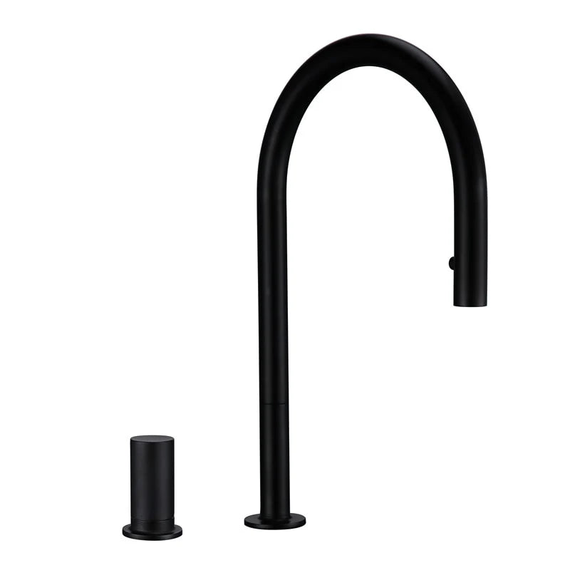 Denver Single Handle Kitchen Tap with Sprayer